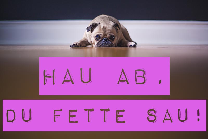 Get Fett sprueche For Android Free