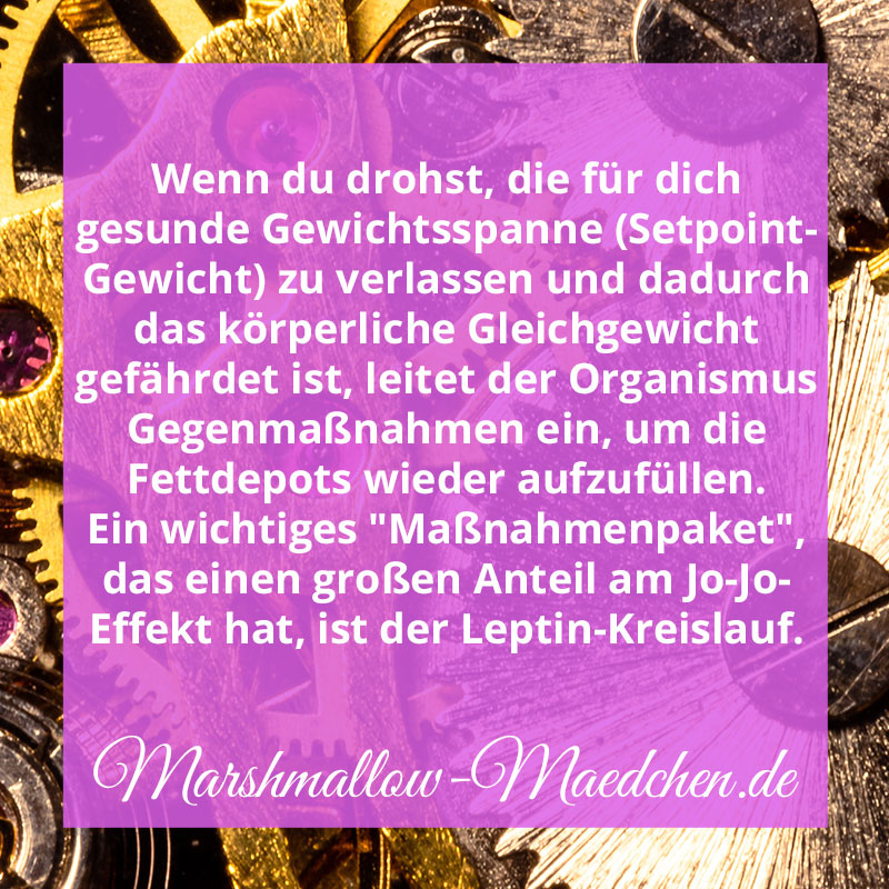 Wenn du drohst, diese für dich gesunde Gewichtsspanne zu verlassen und dadurch das körperliche Gleichgewicht gefährdet ist, leitet der Organismus Gegenmaßnahmen ein, um die Fettdepots wieder aufzufüllen. Ein wichtiges "Maßnahmenpaket", das einen großen Anteil am Jo-Jo-Effekt hat, ist der Leptin-Kreislauf. | Zitat | Body Positivity und Selbstliebe | Marshmallow Mädchen